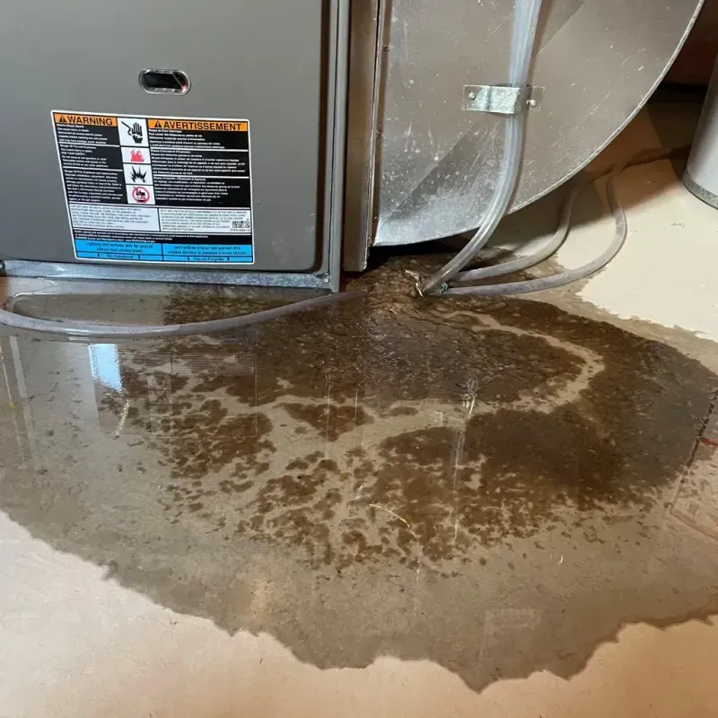 Appliance Leak Cleanup in Lawrence County, IL